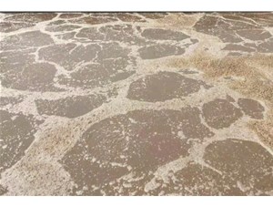 廢水處理中常用的氧化劑和還原劑有哪些？